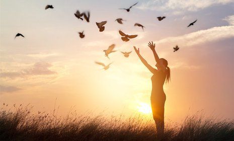 freedom