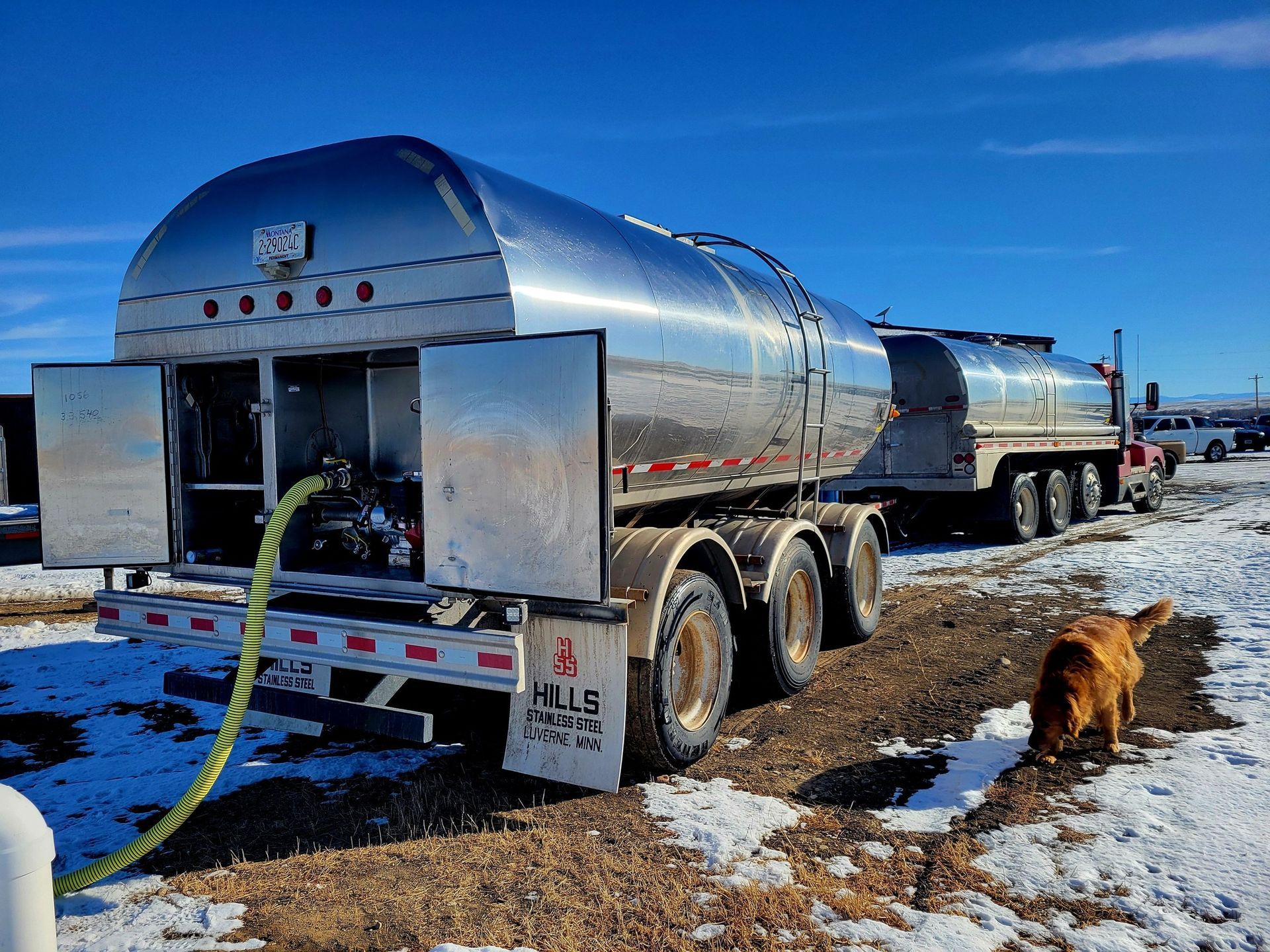 Shiny tanker truck parked in snow; a yellow hose and a golden retriever are present.