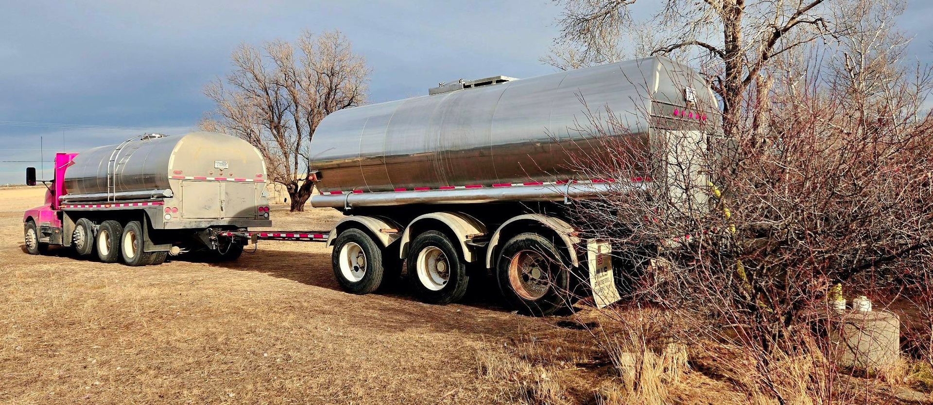 A pink semi-truck pulling a silver tanker trailer on a dirt road next to brown brush and a tree.