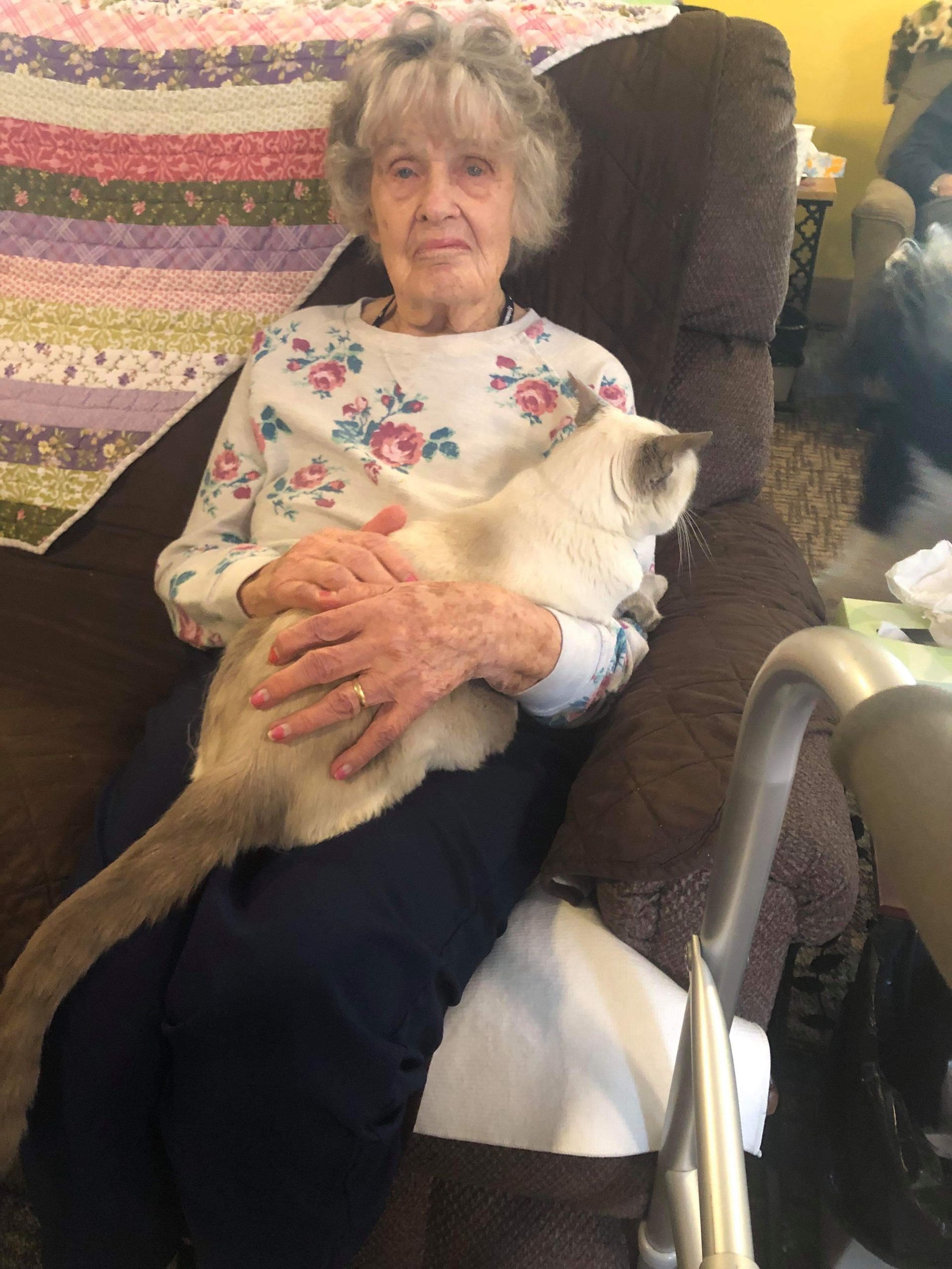 Elderly woman seated, holding a light-colored cat on her lap, in a living room.