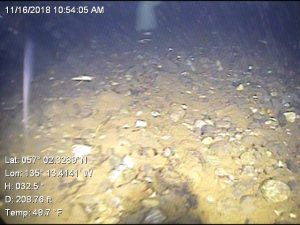 ROV Seafloor Survey — Stanwood, WA — Enviro-Tech Diving