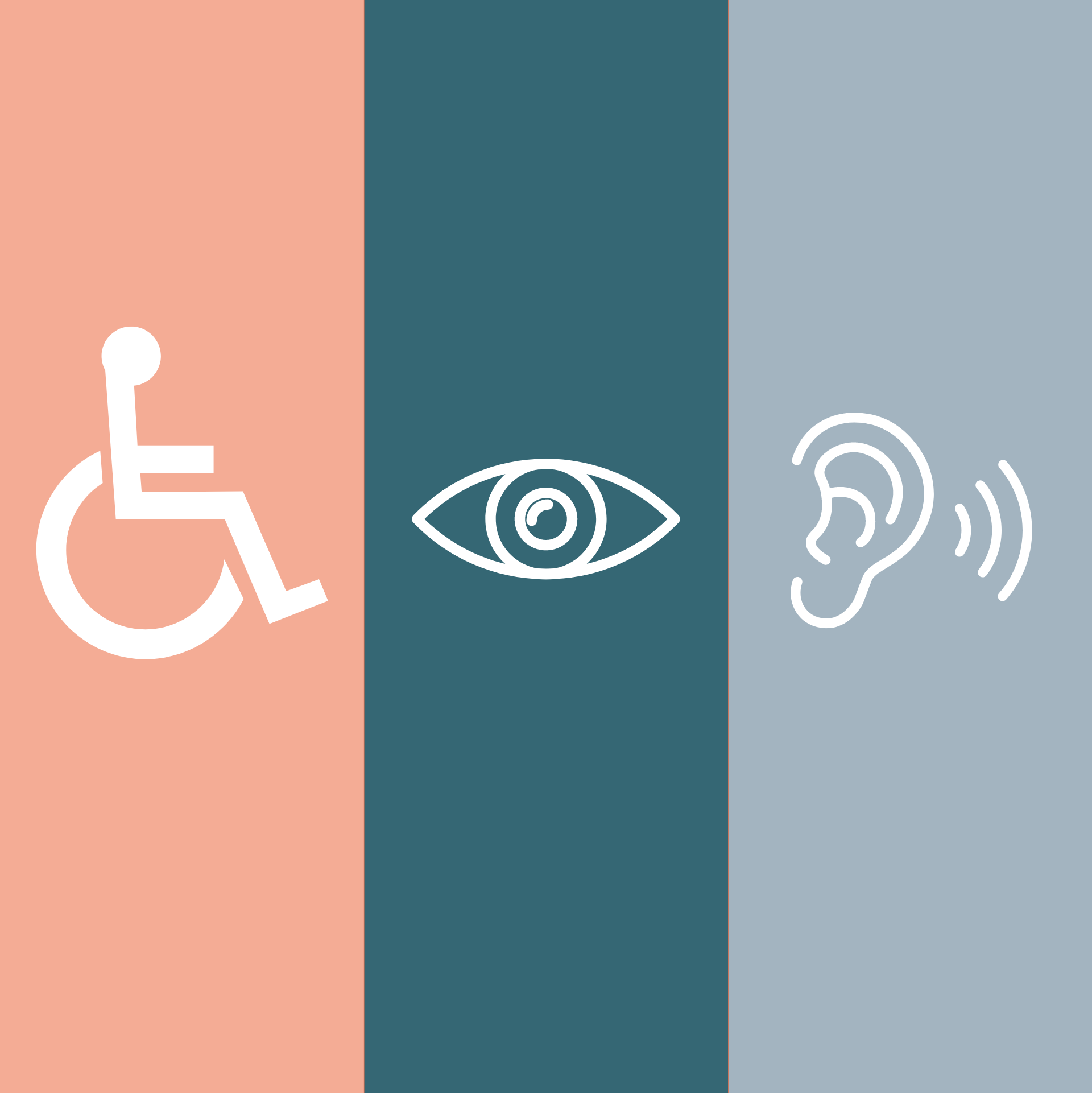 Icons representing accessibility: wheelchair, eye, and ear.