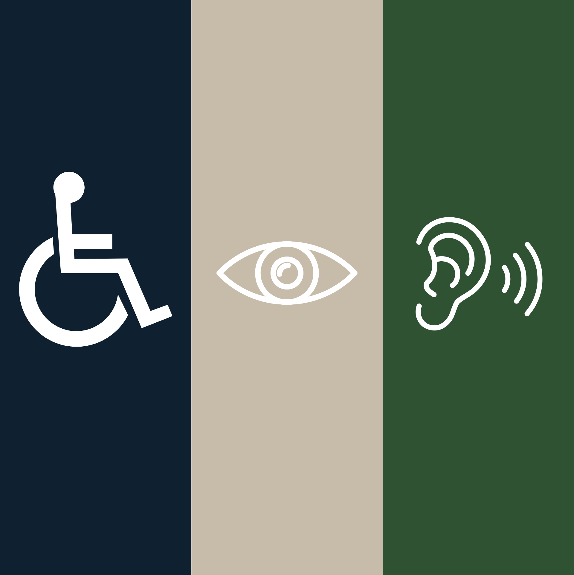 Icons for accessibility: wheelchair, eye, ear with sound waves, against colored backgrounds.