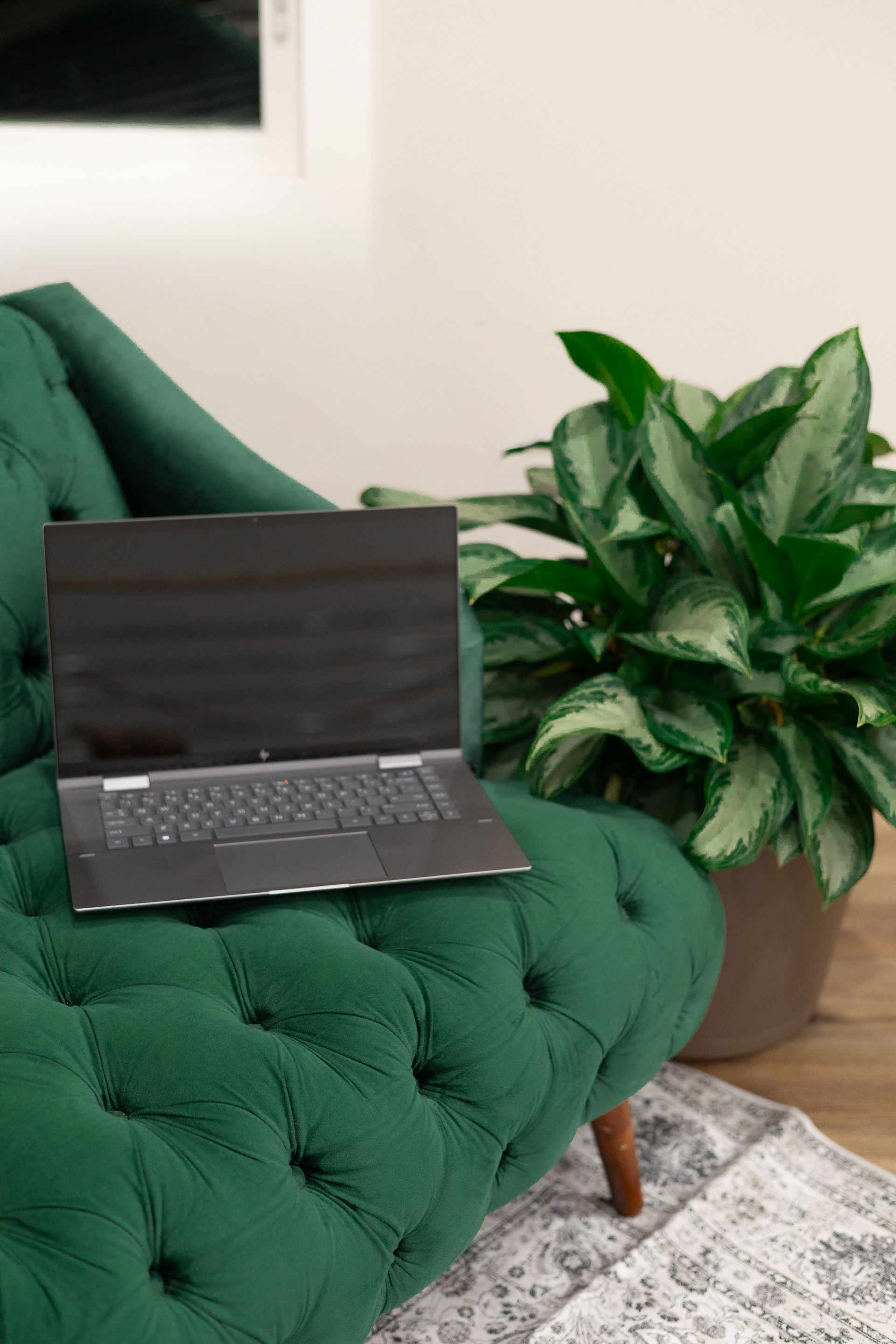Laptop on a tufted green velvet couch next to a potted plant, with a wood floor.