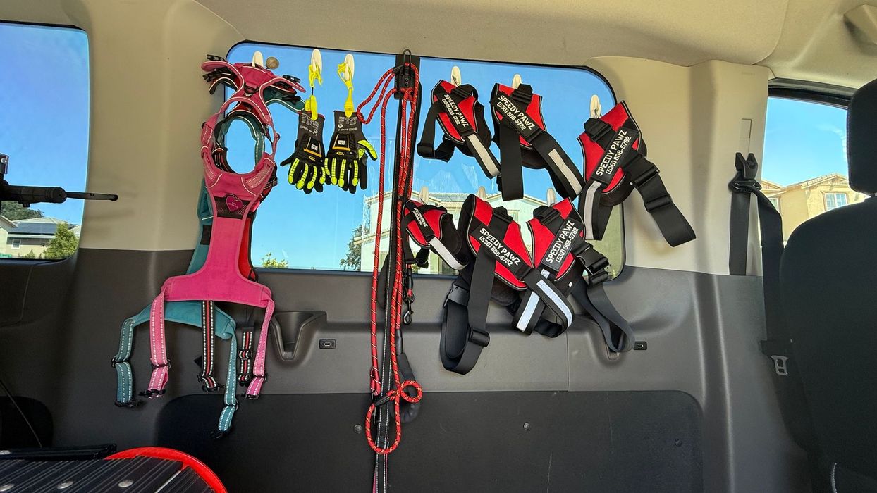 A car with a bunch of items hanging from the back window