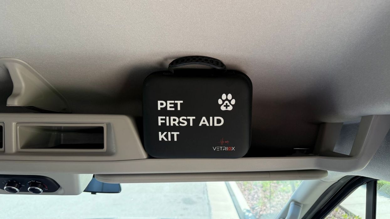 A pet first aid kit is hanging from the ceiling of a car