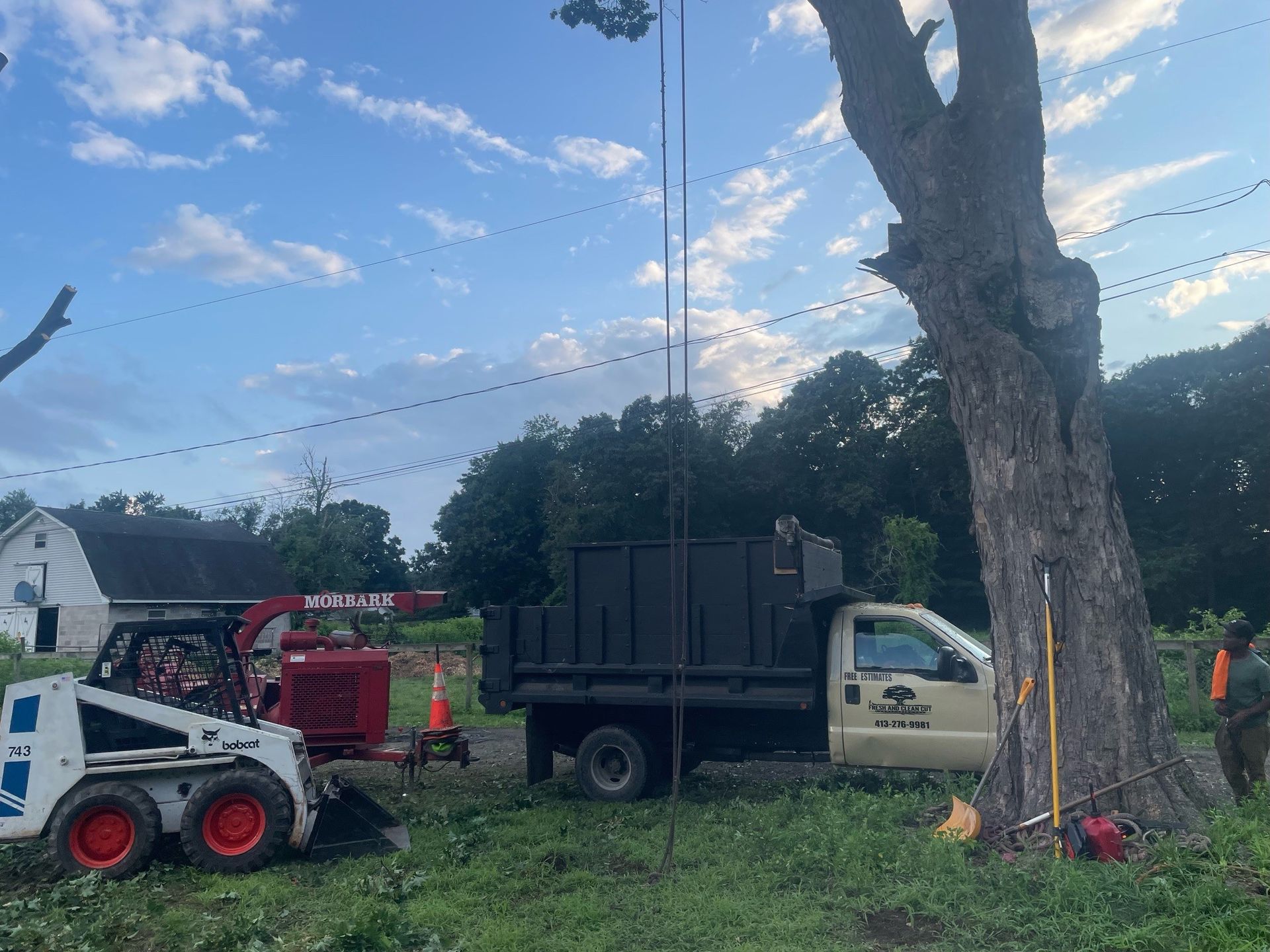 Tree Trimming — Chicopee, MA — Fresh & Clean Cut Landscape LLC