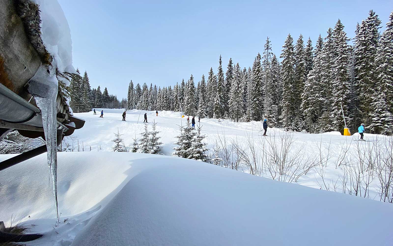 Bakketunet - Sjumilskogen booking Trysil - Ski ut - Ski inn 2