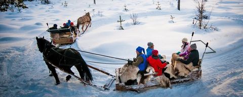 Aktiviteter - Kanefart Sjumilskogen booking Trysil