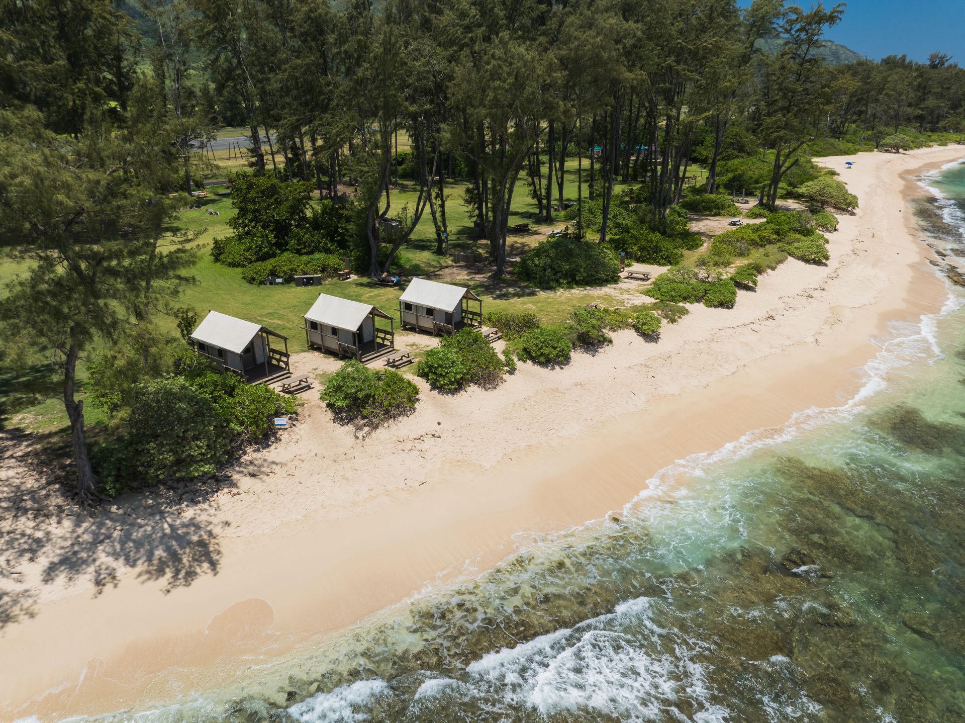 An aerial view of a beach with a lot of trees and houses.