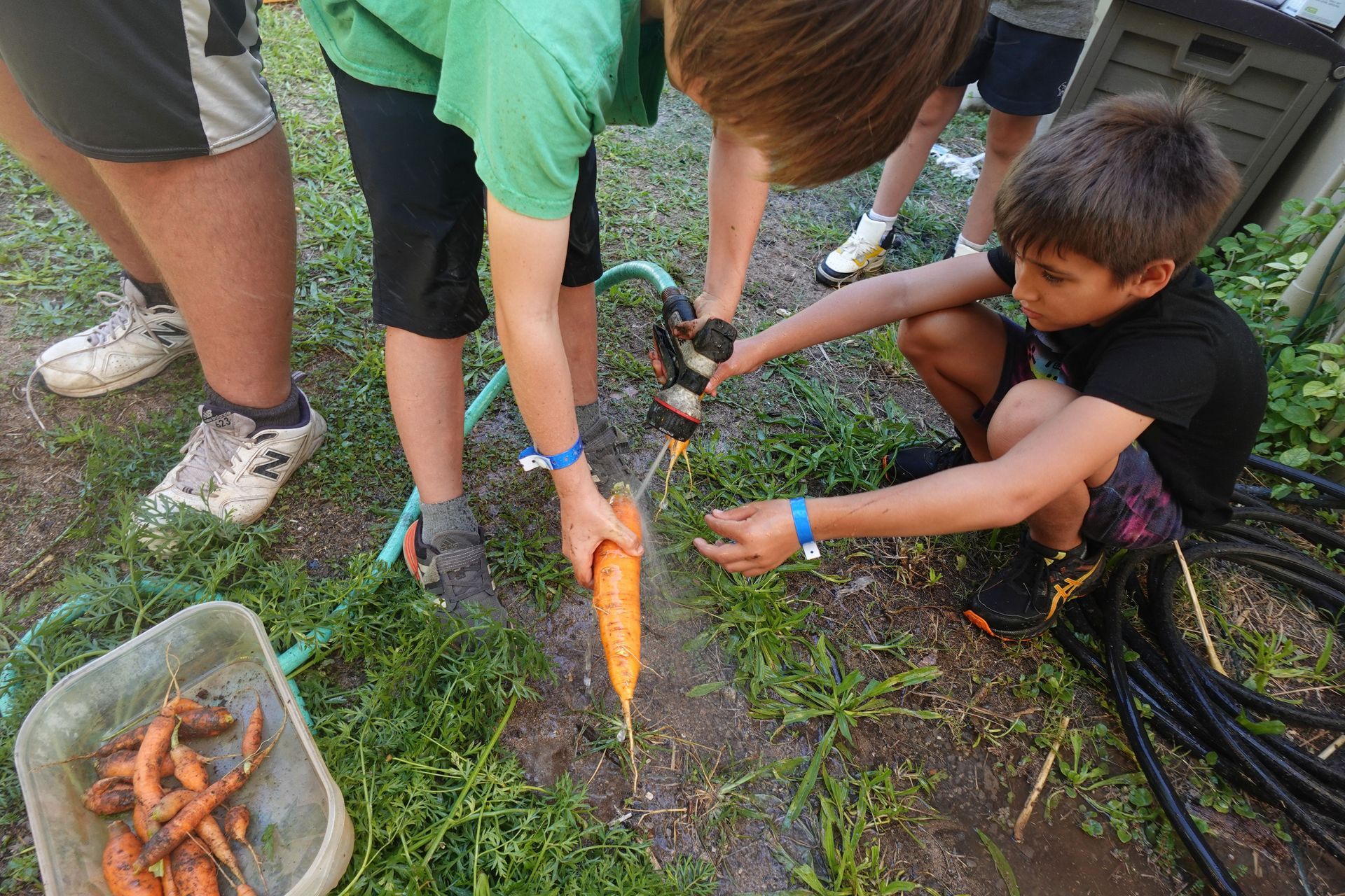 A person is using a pickaxe to dig a hole in the ground.