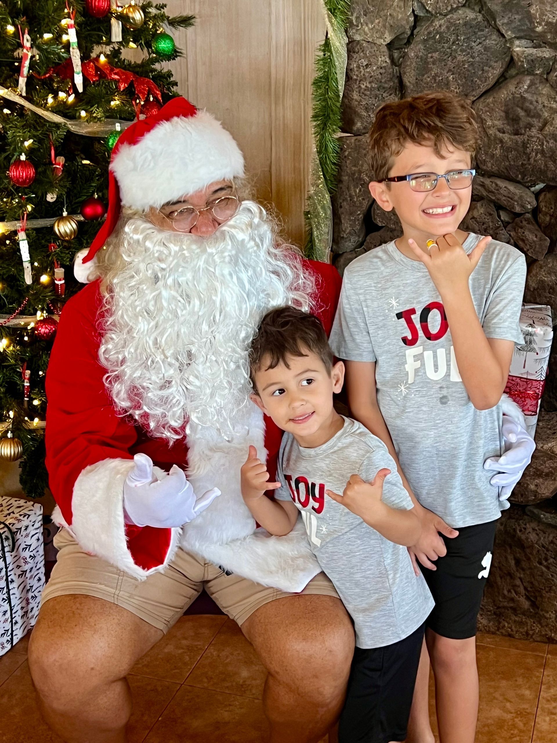 Two young boys are posing for a picture with santa claus in front of a christmas tree.
