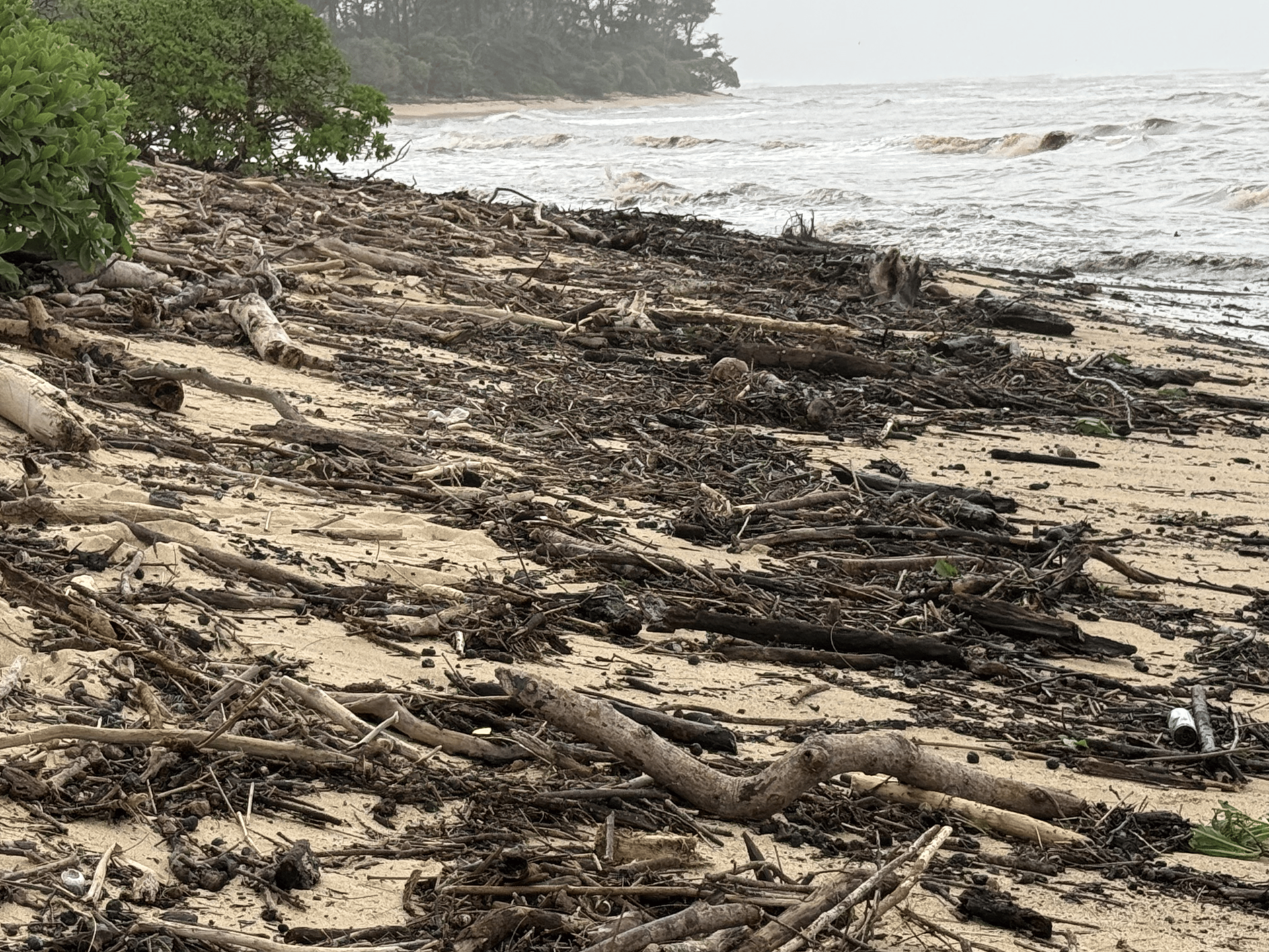 Three children are holding hands in the ocean.