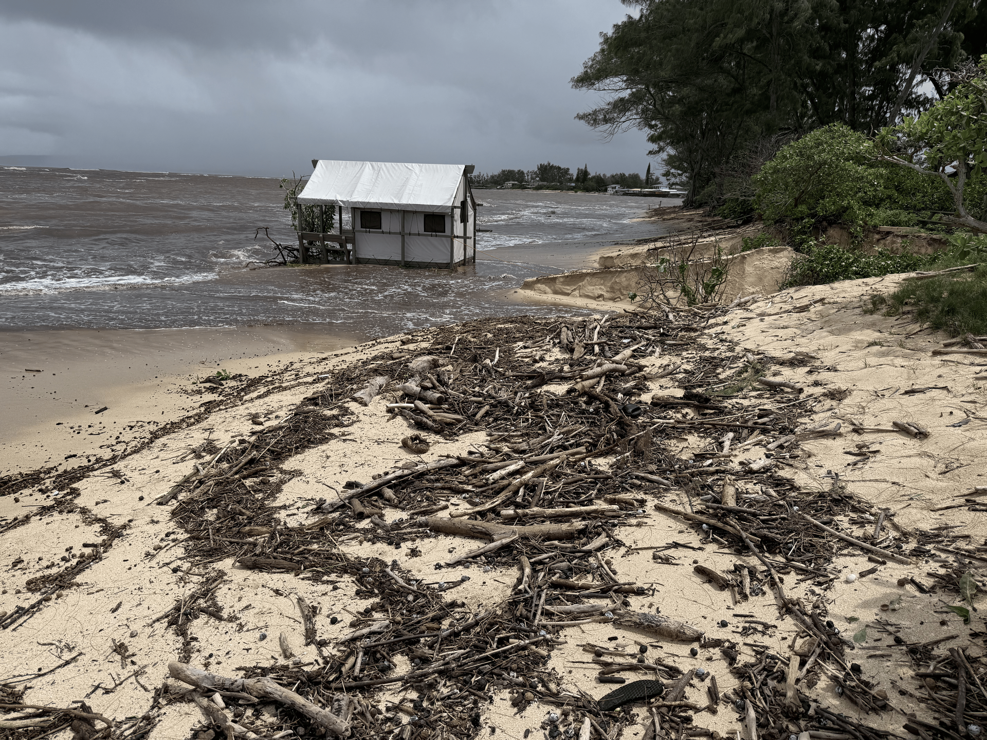 A group of people are sitting around a campfire at night.
