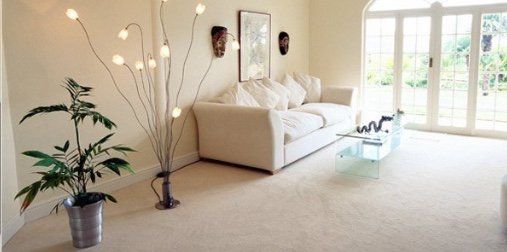 powakleen carpet cleaning comfortable living room