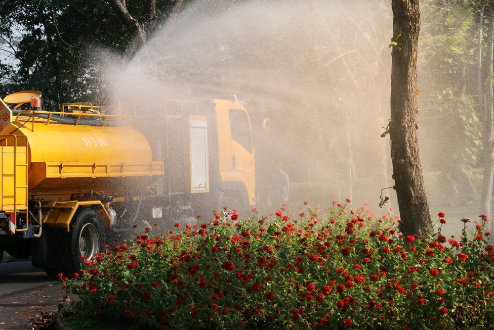 Truck Spraying Water in the Garden — Rainman Domestic Water in Avoca, QLD