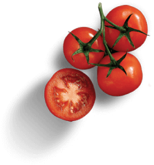 Tomatoes