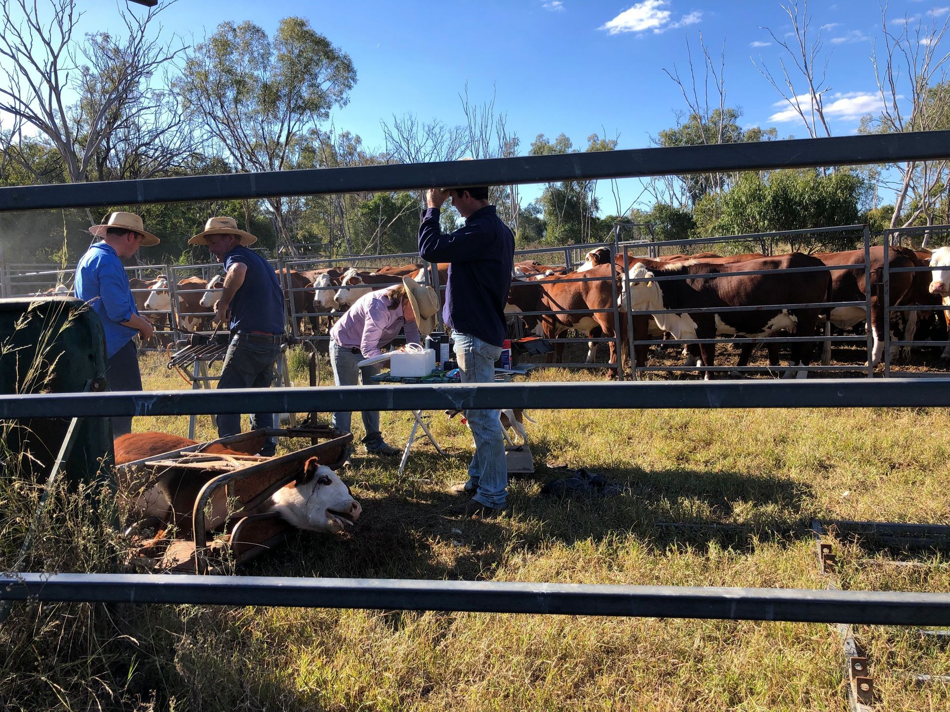 2023 Branding at The Hut