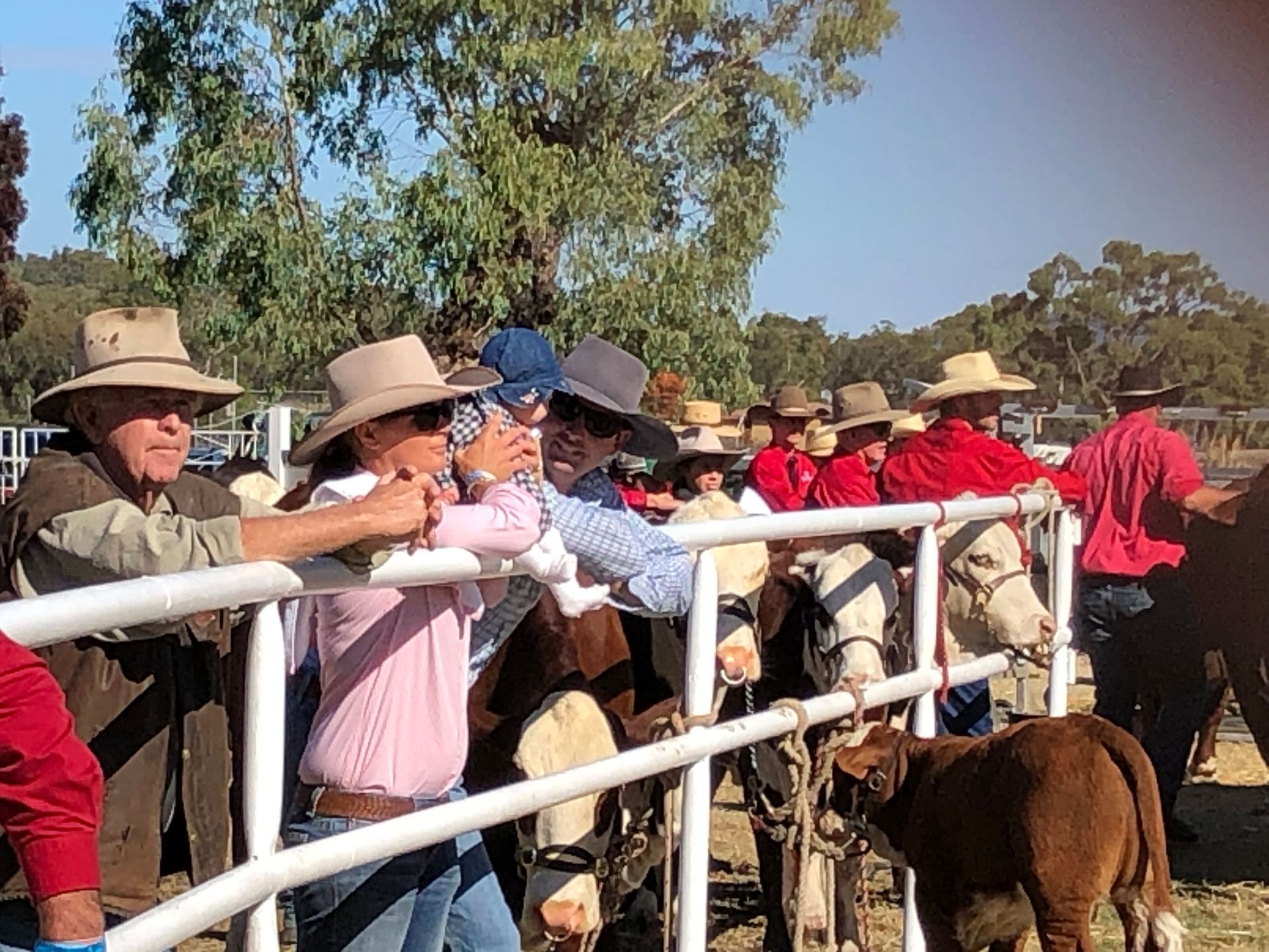 Warialda Feature Show 2023