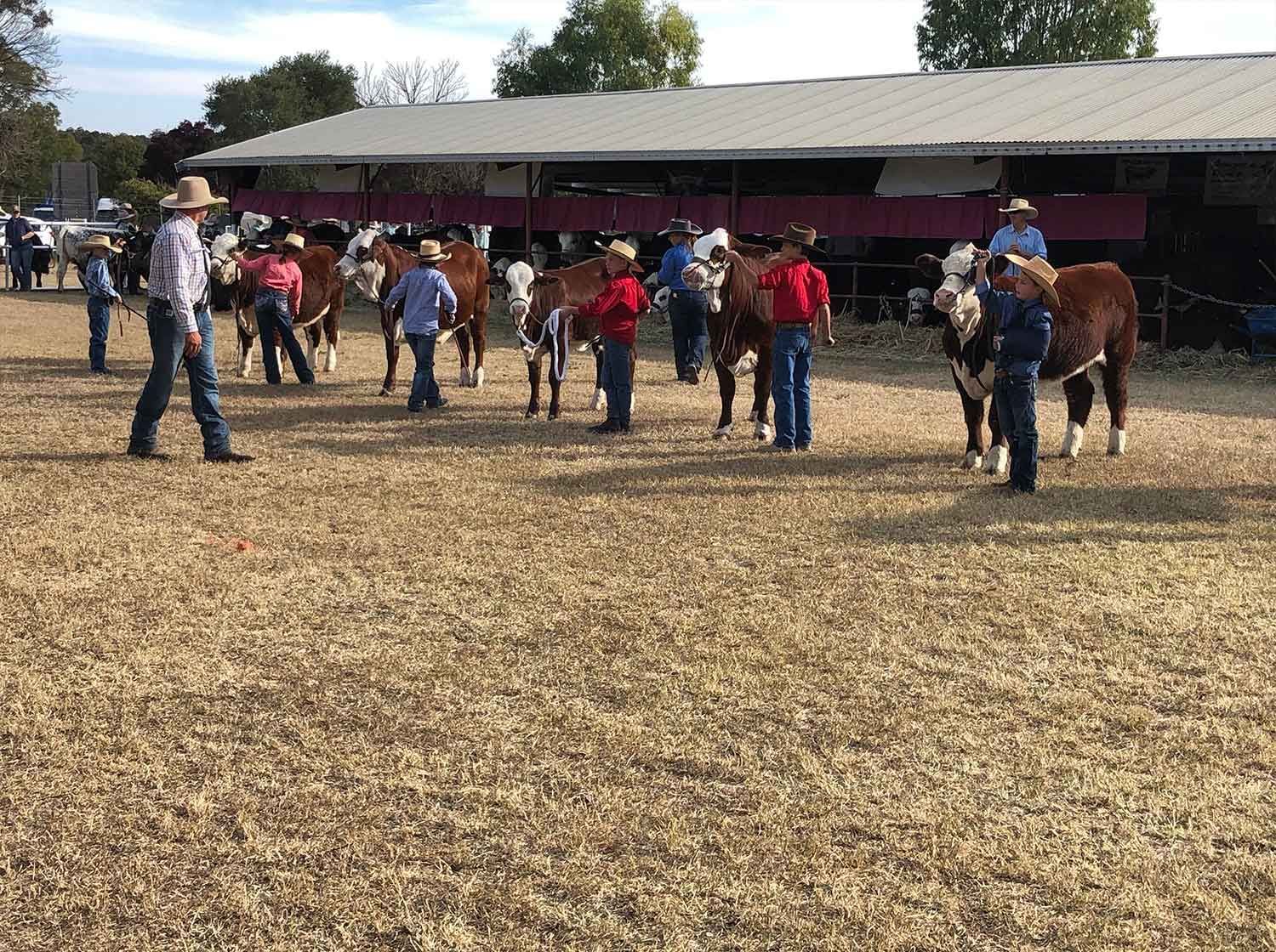 Warialda Feature Show 2023 Will in Under 12 Young Paraders
