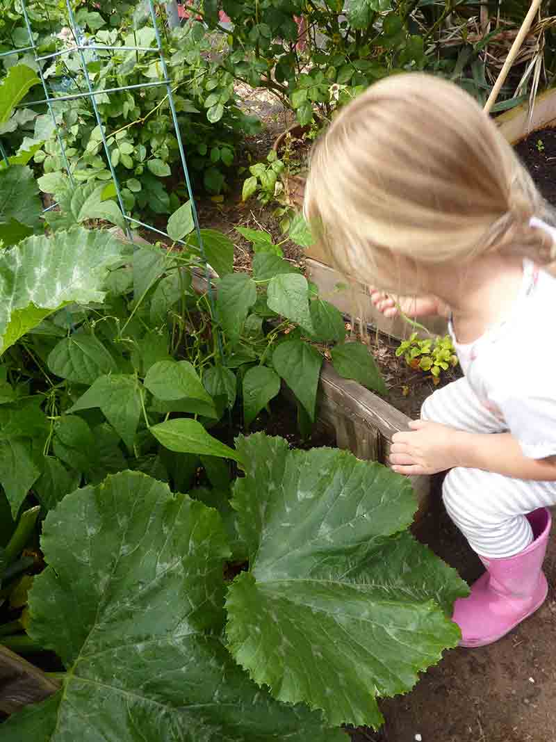 Plant Observations by Kids - Preschool in Beaverton, OR