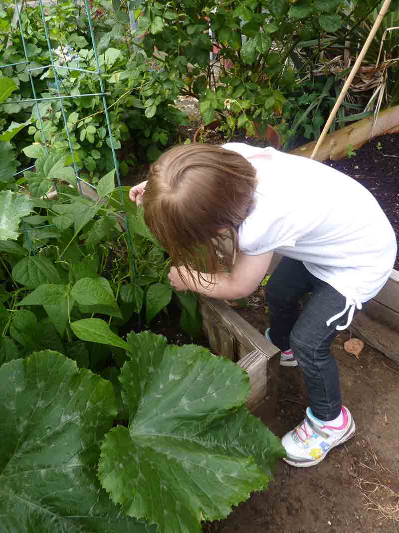Plant Observations by Kids - Preschool in Beaverton, OR