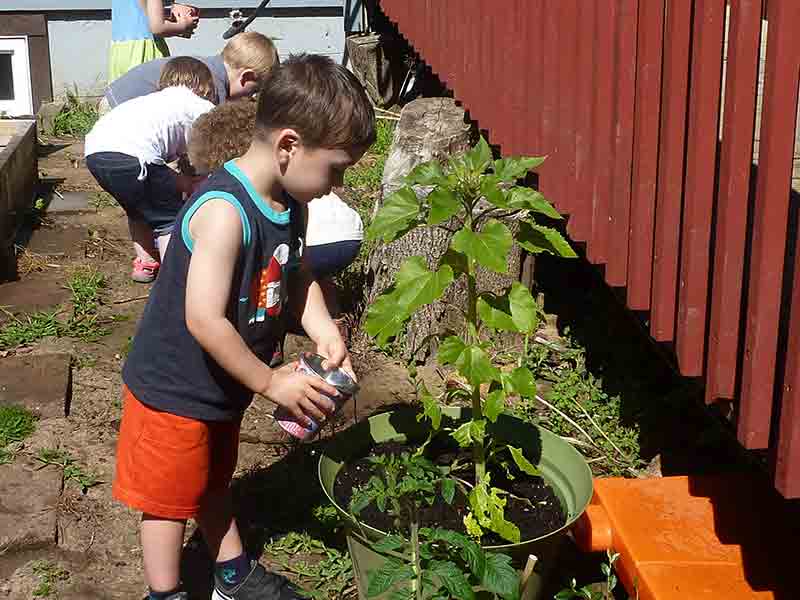 Water Plant by Kids - Preschool in Beaverton, OR