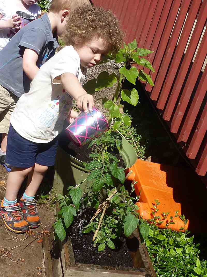 Water Plant by Kids - Preschool in Beaverton, OR