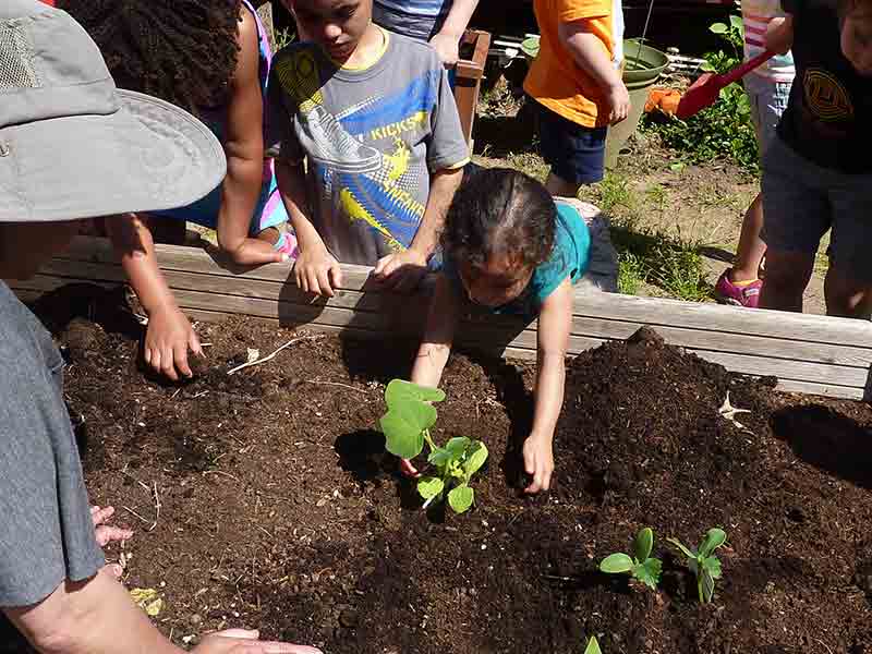 Planting by Kids - Preschool in Beaverton, OR