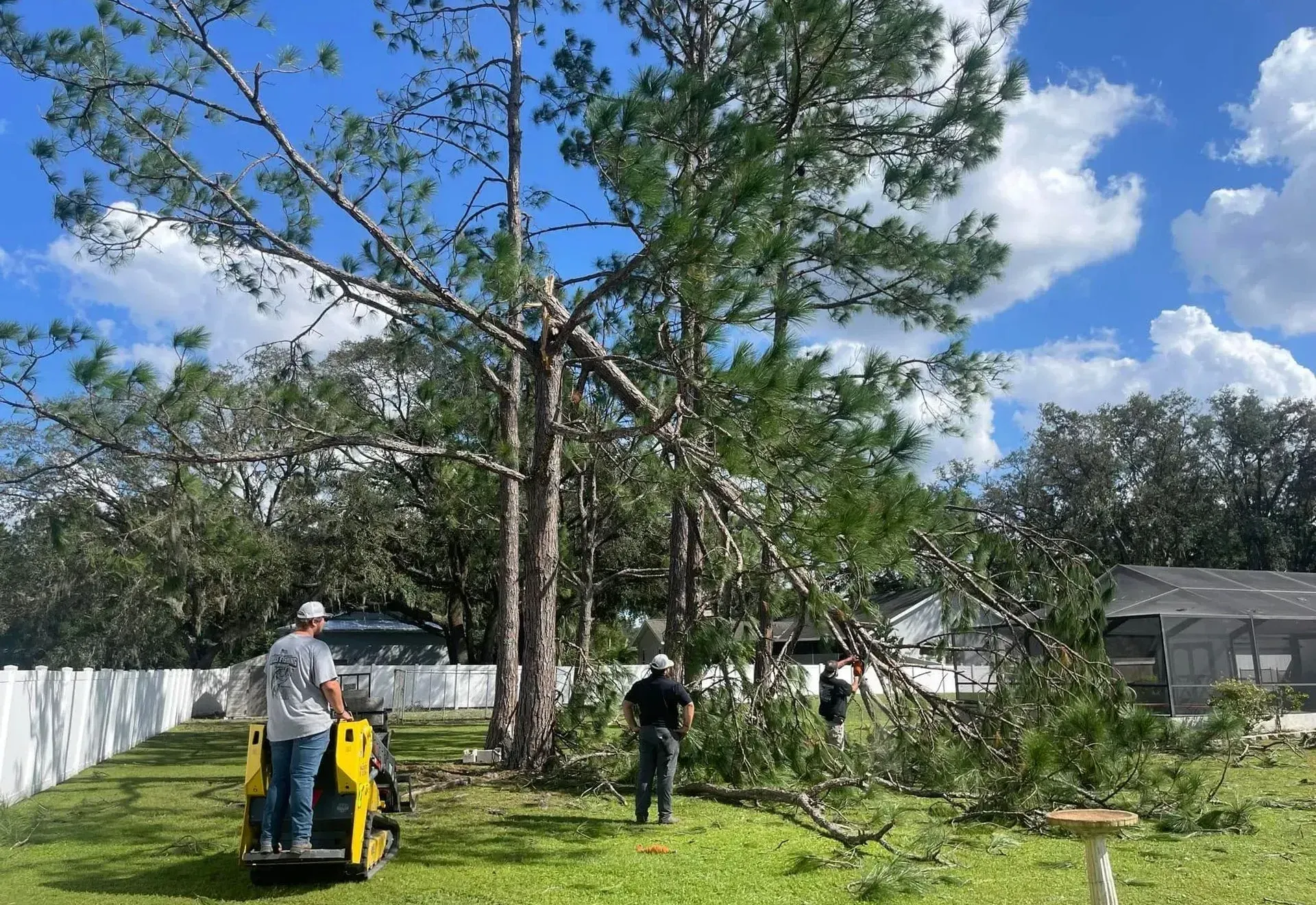 Tree Removal in Jacksonville, FL