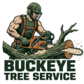 tree-service-buckeye-arizona
