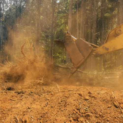 tree-service-buckeye-arizona