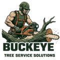 tree service in buckeye arizona