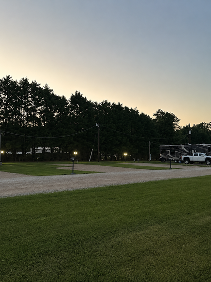 Grassy campground at dusk with gravel road, lit lamps, trees, and parked RVs under a pale sky