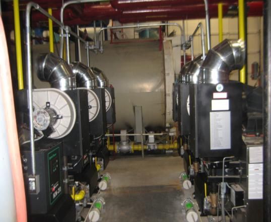 Roofs of multi-family community