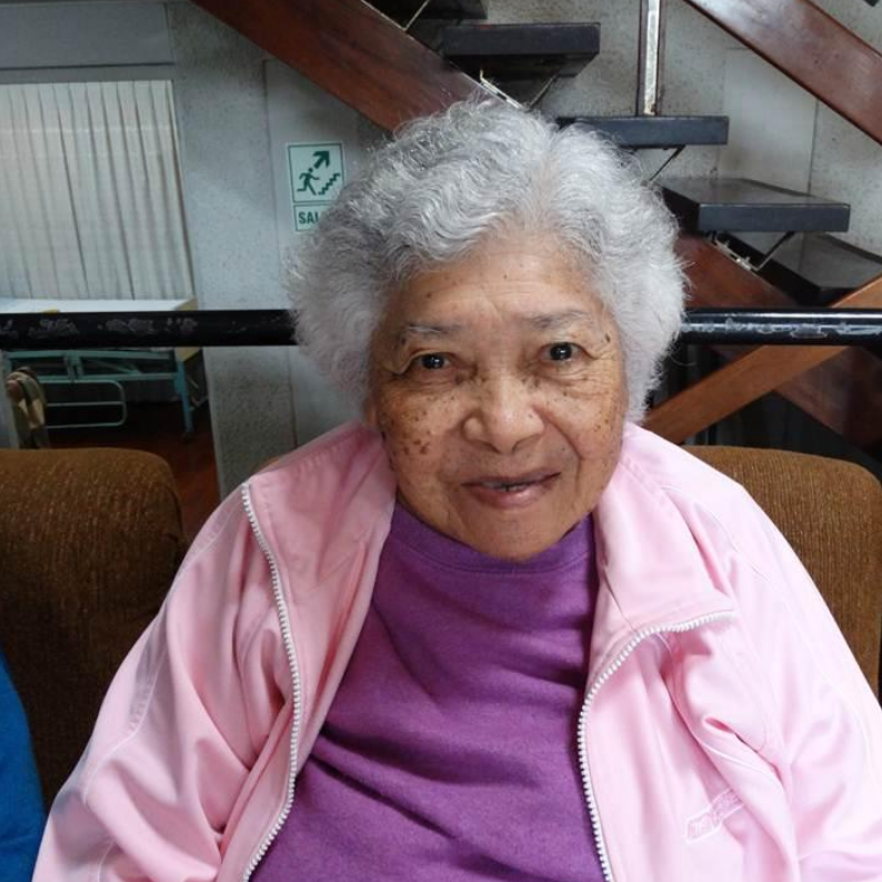 Residencia geriátrica El Mana