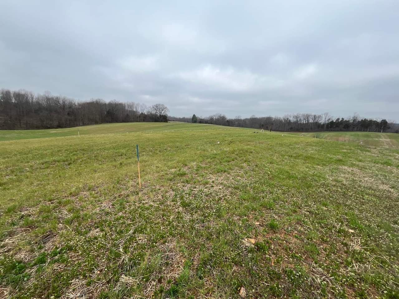 A large grassy field with trees in the background on a cloudy day.