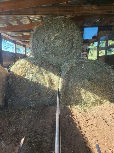 Rolled hay - Campbellsburg, IN | Twisted Electric LLC 