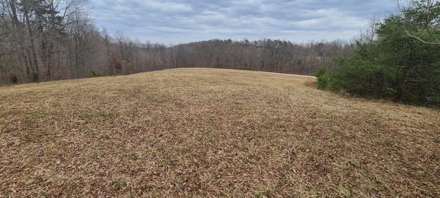 Wide field of dry grass with trees in the background on a cloudy day - Campbellsburg, IN | Twisted Electric LLC 