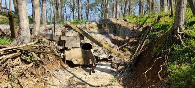 Tunnel in the middle of a forest with a ladder leading to it - Campbellsburg, IN | Twisted Electric LLC 