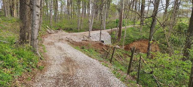 Gravel road with fence going through a forest with trees on both sides - Campbellsburg, IN | Twisted Electric LLC 