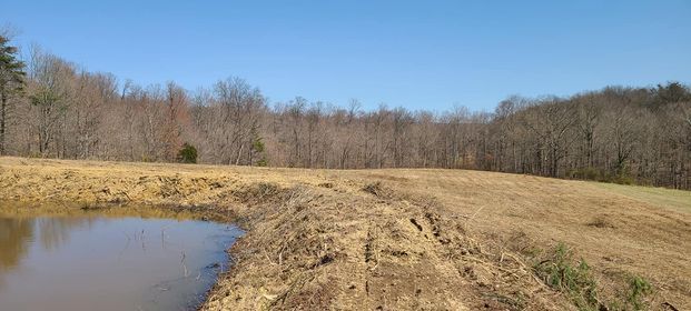 Field with a pond on the left side of it and trees in the background - Campbellsburg, IN | Twisted Electric LLC 
