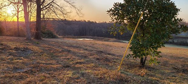 Tree in the middle of a field with a sunset in the background - Campbellsburg, IN | Twisted Electric LLC 