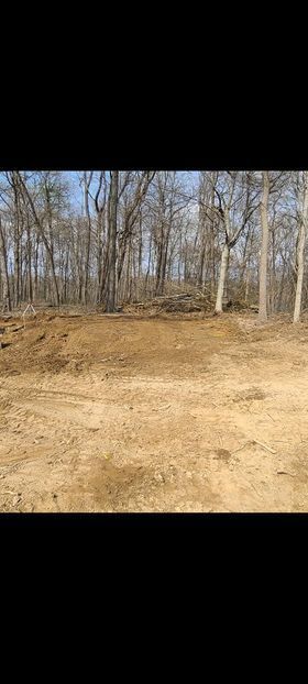 Dirt road in the middle of a forest with leafless tree on the background - Campbellsburg, IN | Twisted Electric LLC 