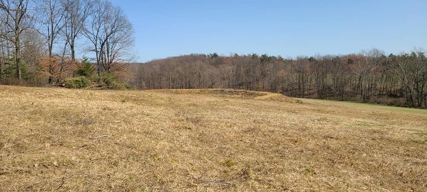 Field of dry grass with trees in the background on a sunny day - Campbellsburg, IN | Twisted Electric LLC 