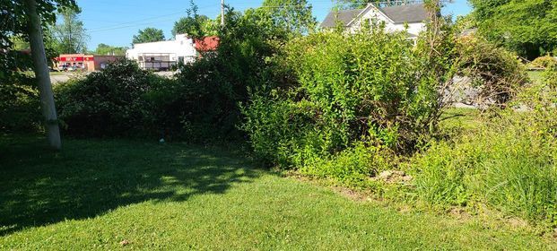 Sunny day with a lush green lawn with a bush in the middle of it - Campbellsburg, IN | Twisted Electric LLC 