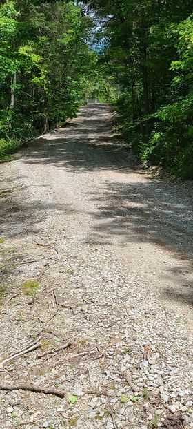 Gravel road going through a forest on a sunny day - Campbellsburg, IN | Twisted Electric LLC 