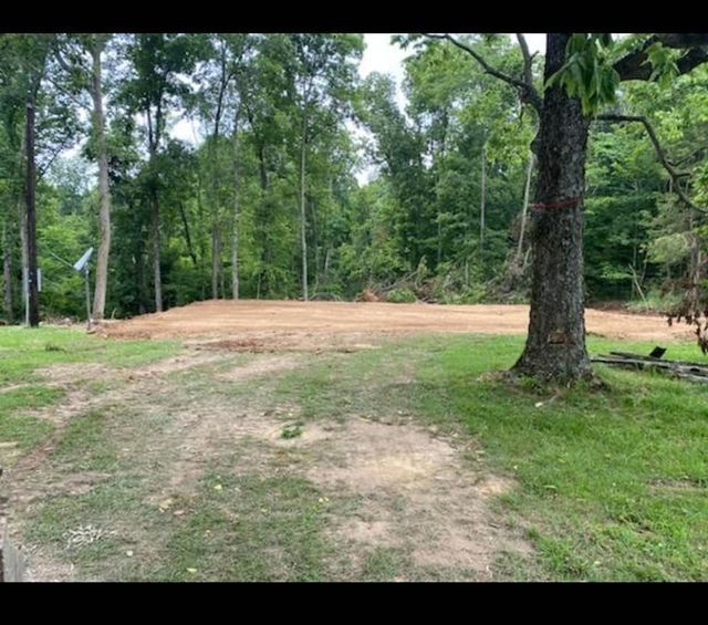 Dirt road going through an empty lush green field with trees in the background - Campbellsburg, IN | Twisted Electric LLC 