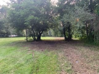 Lush of green and dirt with two trees - Campbellsburg, IN | Twisted Electric LLC 