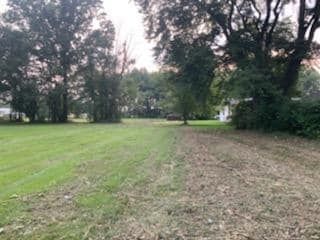 Lots of leaves and grass on the ground - Campbellsburg, IN | Twisted Electric LLC 